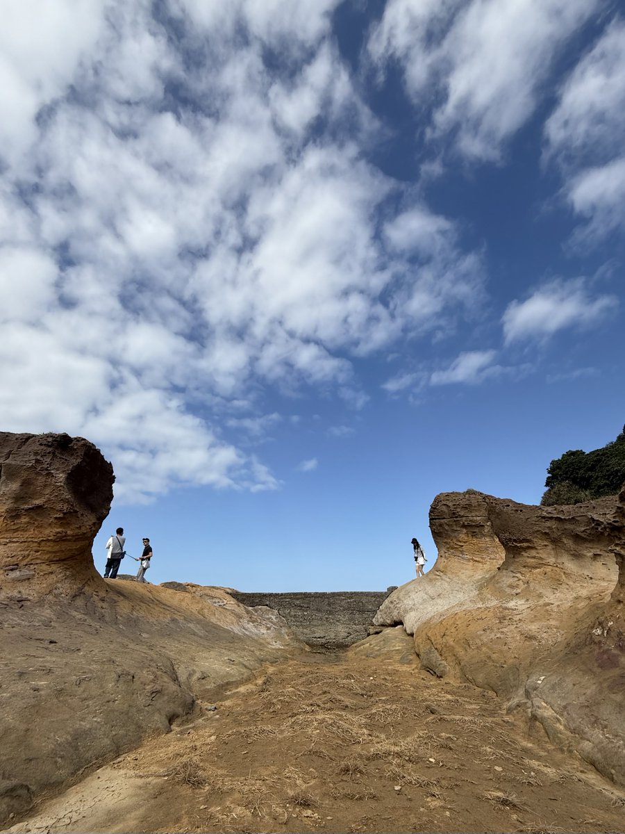 8himo8's tweet image. いい天気ね☀️
ガイドのおばちゃんとデート