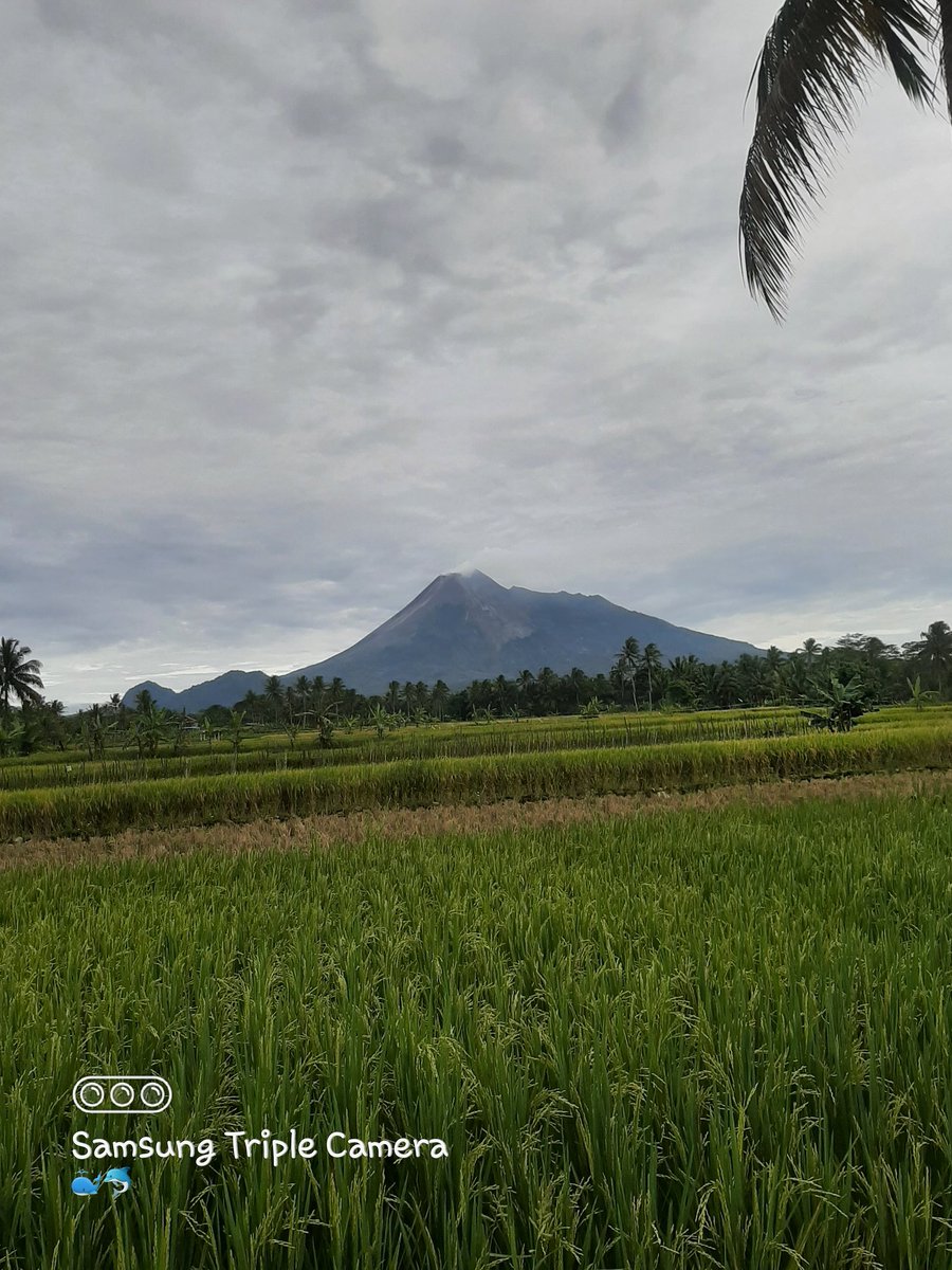 temennyakulkas tweet media