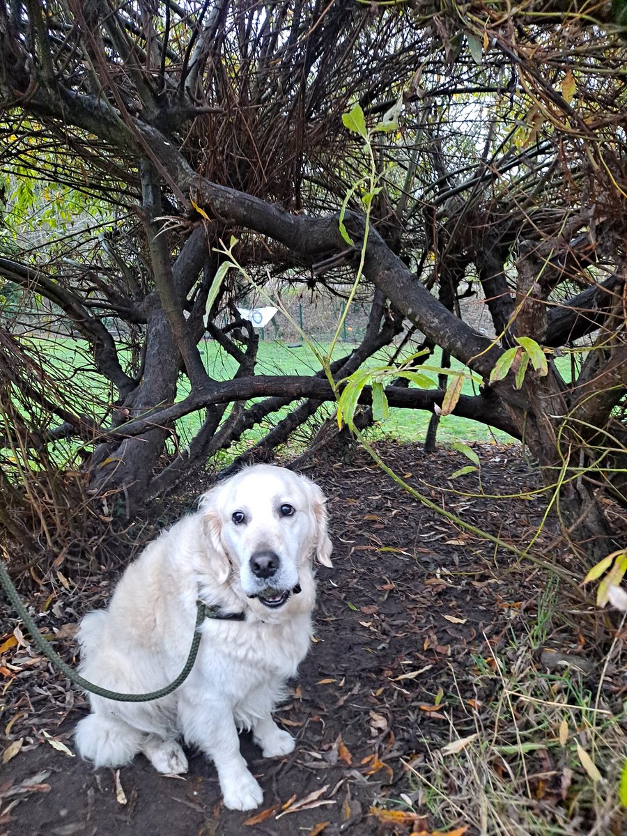 Michelle Calder tweet media