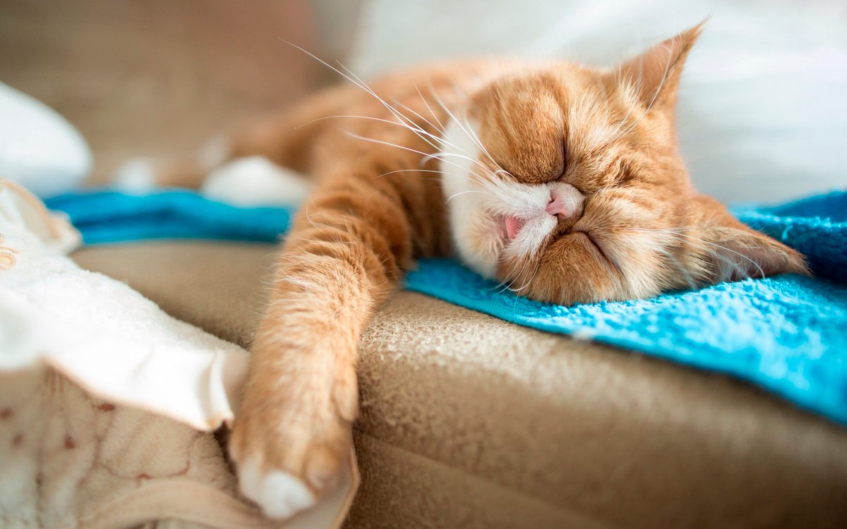 <a href="/driver_Obolon/">🚙 драйвер з Оболоні🇺🇦🇵🇱🇬🇧🇪🇺🇺🇸🇯🇵🍺</a> Це я сплю, поки ці двоє в корідорі та на паркінгу🤭