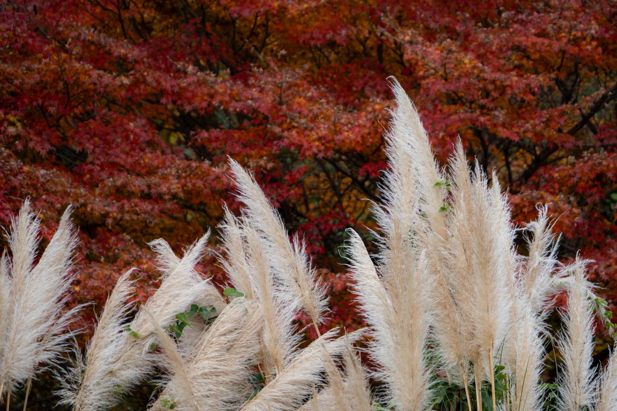 OM System OM-3部 Community on X - 39 Members