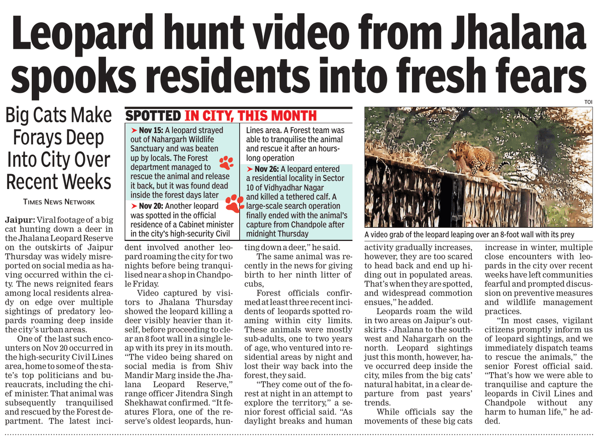 Frequent leopard sightings deep inside Jaipur city localities spook residents into fresh fears, reports <a href="/suparna_r/">Suparna Roy</a>