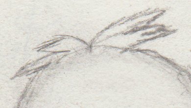 The_Weird_Otaku's tweet image. The sprouts are an extremely important part of Athos&apos; design