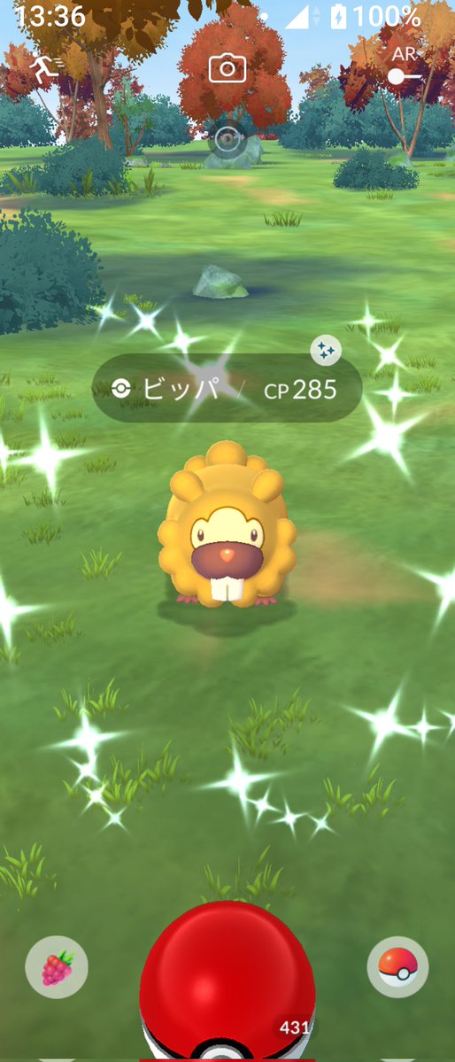 toshiPokego's tweet image. ２匹目は久々のビッパ✨😃