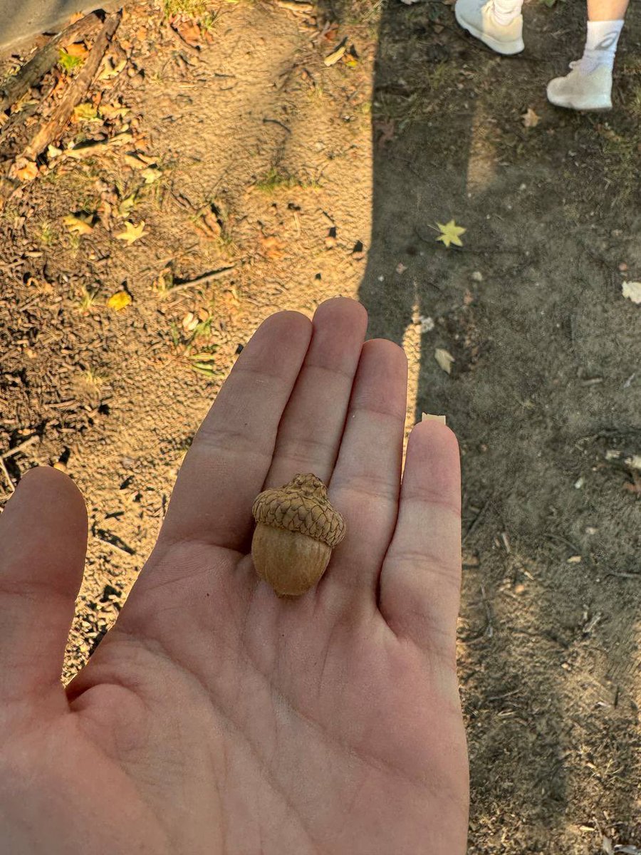 Shiloh 🦇 tweet media