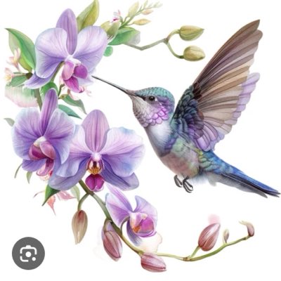 blsanchez1962's tweet photo. #NewProfilePic https://t.co/XUcj0TEhCg