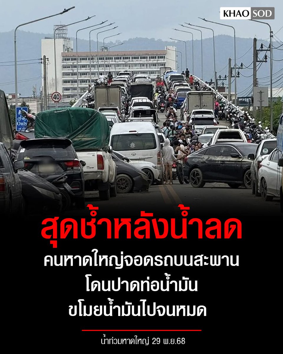 ฮ.นกฮูก(สีส้ม) tweet media