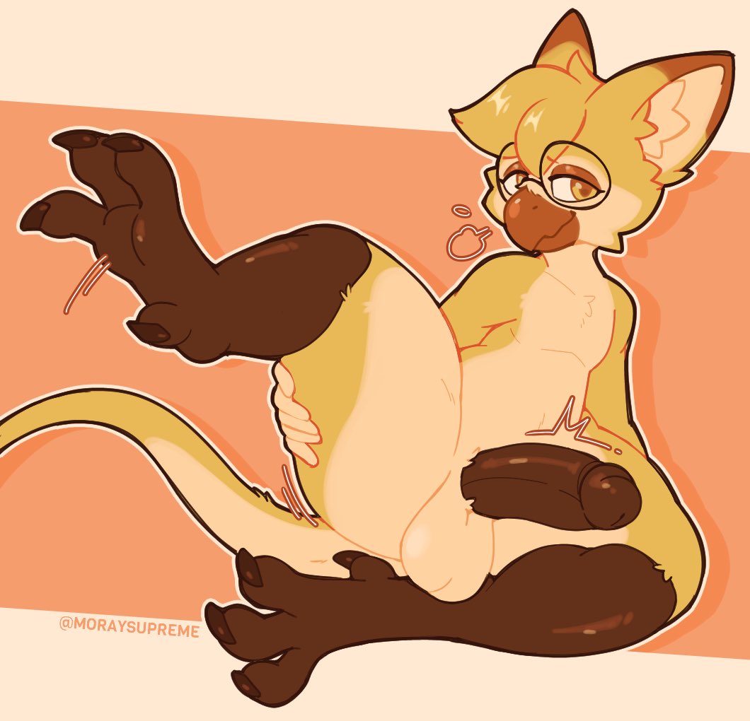 ShayDa 🔞 tweet media