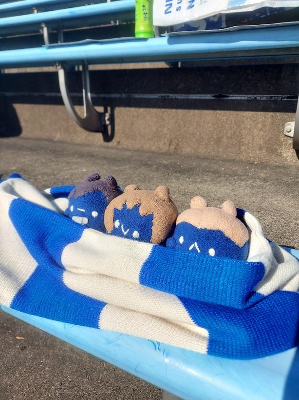 冬期限定のマフラー仲良しトリオ
1枚目、太陽の向きの関係でうまく撮れなかった

これで外でも寒くない、はず
ちなみにこれは英国製のマフラー