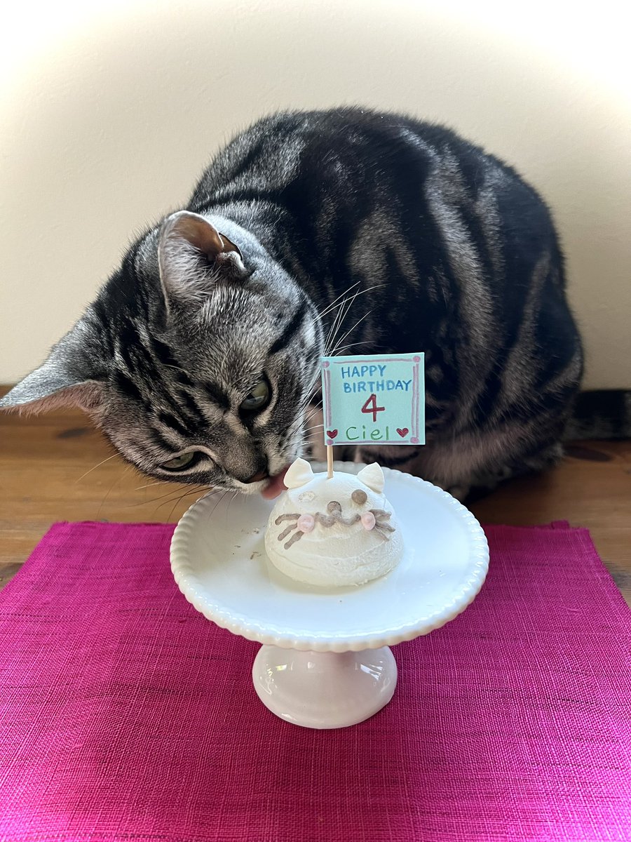 シエル4歳のお誕生日おめでとう〜🎉
猫ちゃんケーキのお目目がないのは、
クンクン→ペロペロ後だからです😅
#猫のいる暮らし #猫のいる幸せ #猫好きさんと繋がりたい