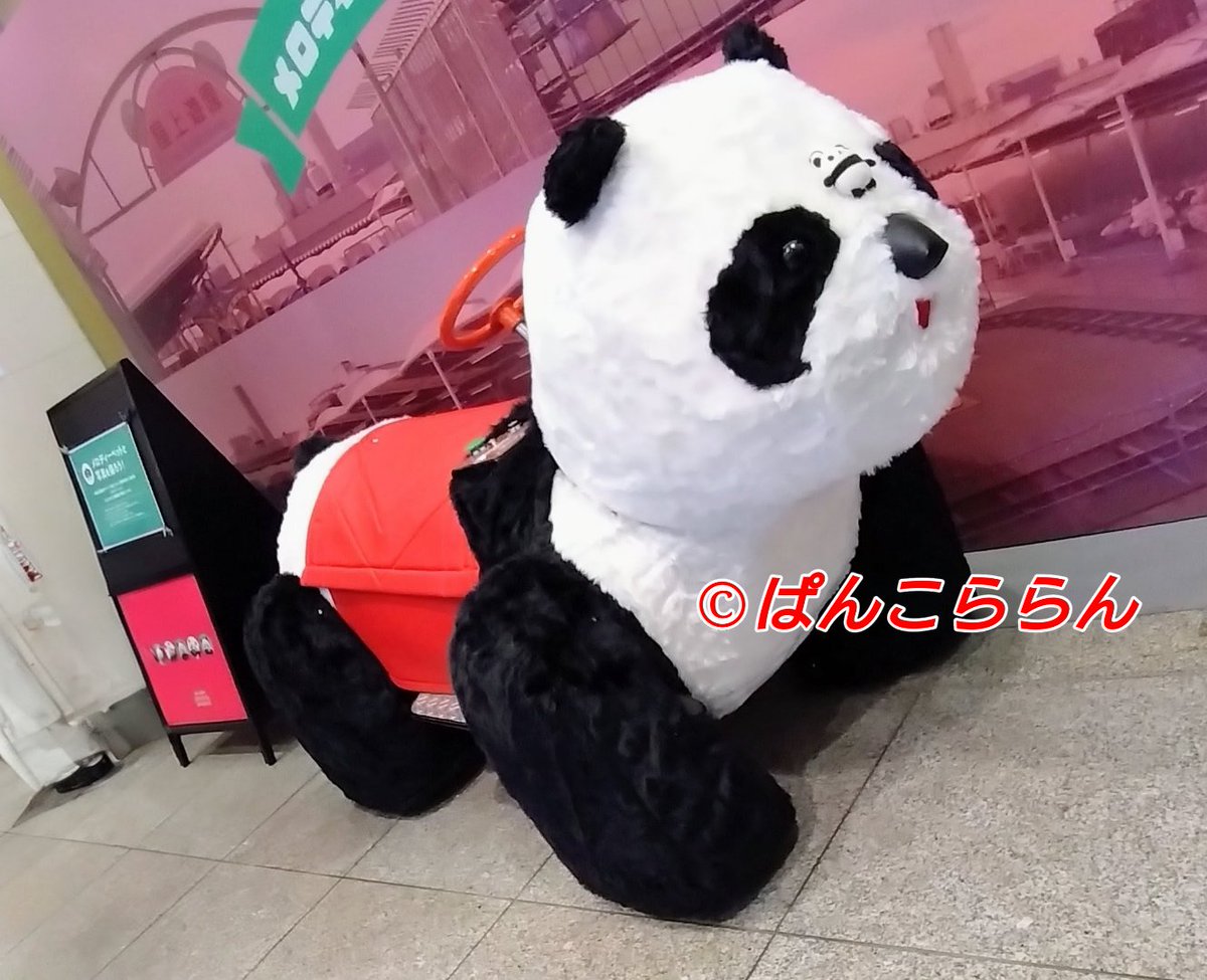 はほう、これが噂のパンダカー…( ´Д｀) #ぬい撮り