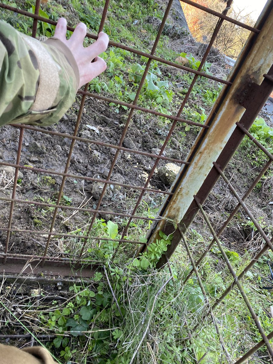 a_akiduki's tweet image. わたしか
わたしは箱わなの整備中に閉じ込められて割と普通にでられないマン