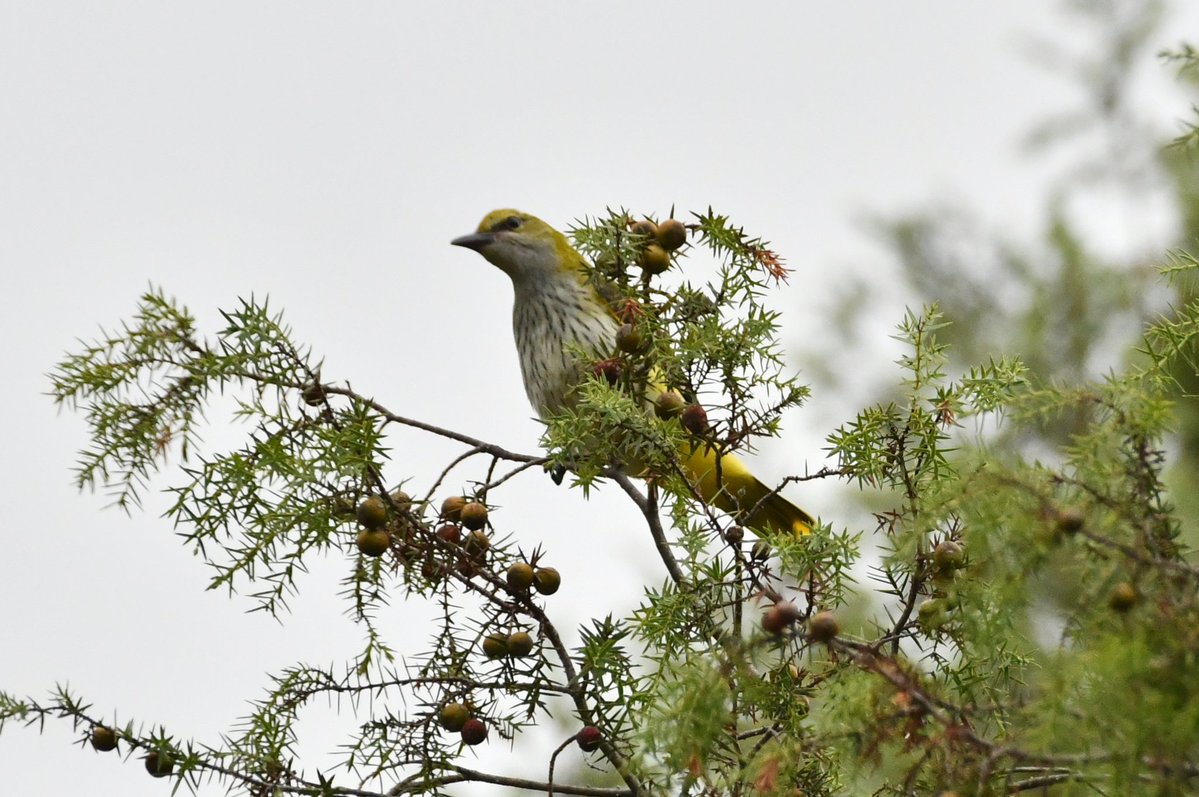 J@a.p (@jose_ap19) on Twitter photo 