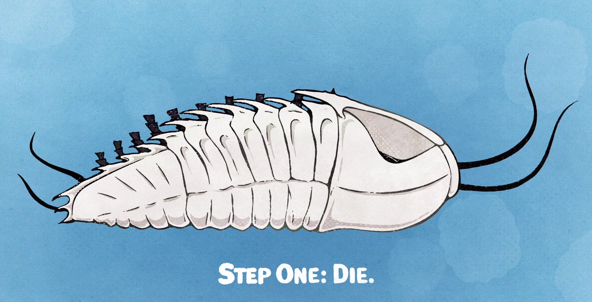 MidwestBarghest's tweet image. Here&apos;s a step-by-step guide to becoming a fossil.