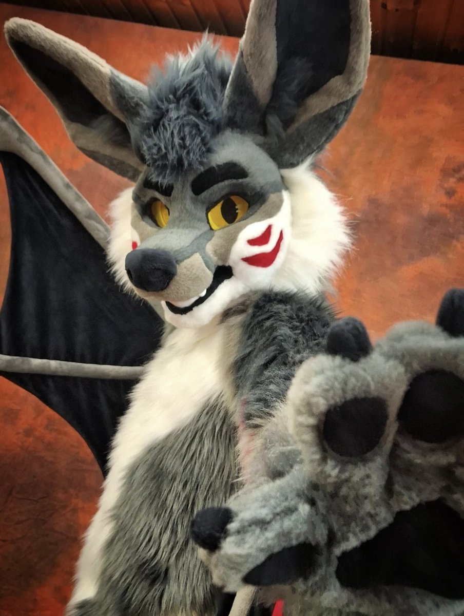 TheKareliaFursuits 🔜 EF tweet media