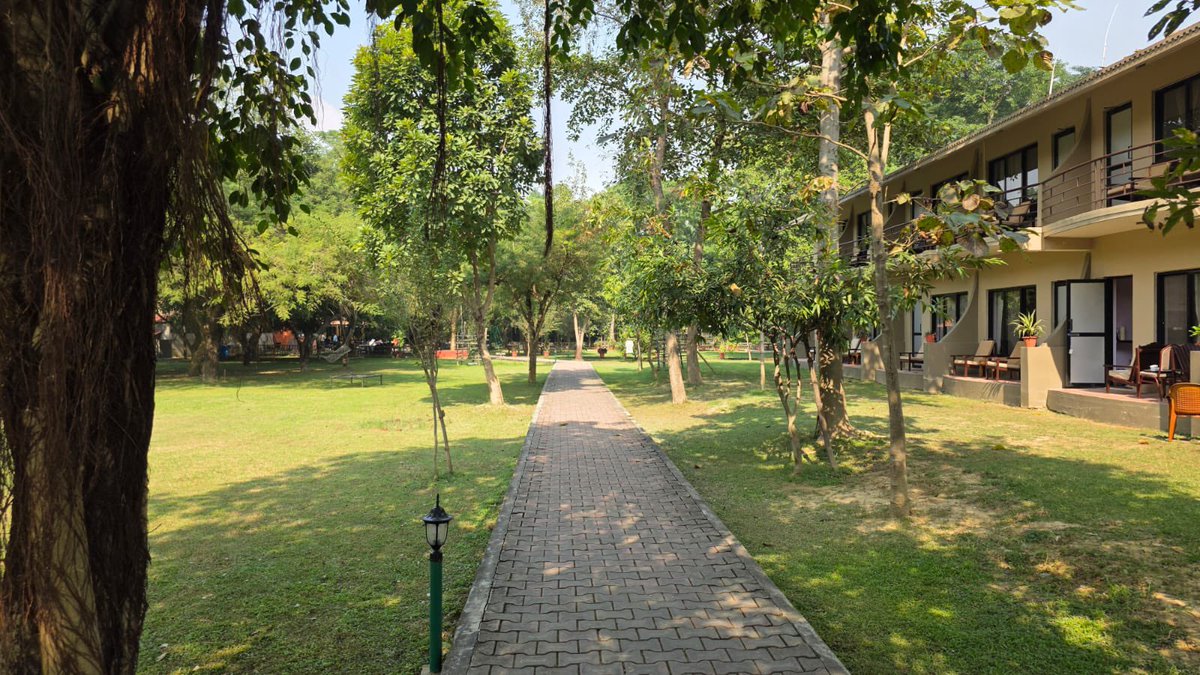 Lumbini Buddha Garden tweet media