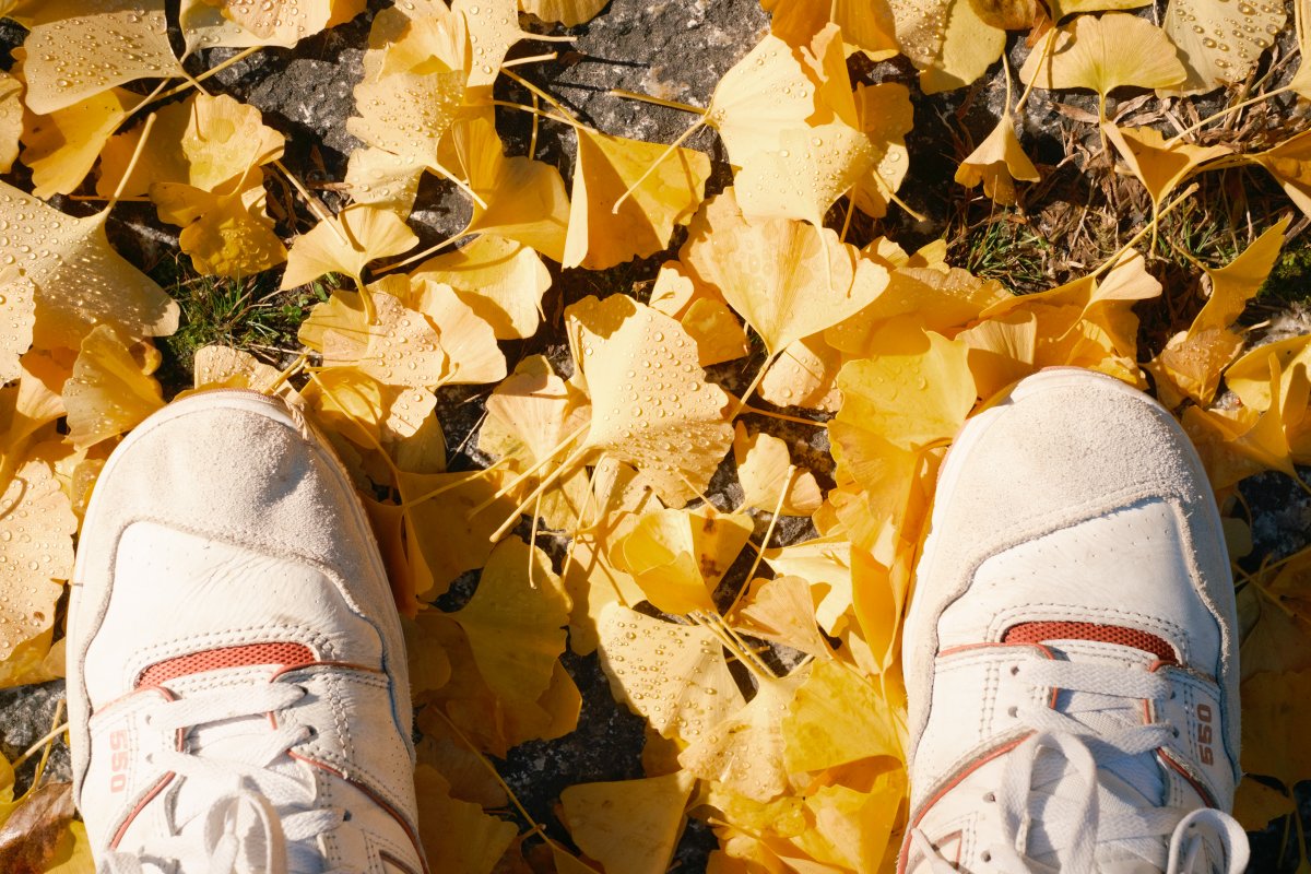 ぺぺち (@butNaporitanNo1) / Posts / X