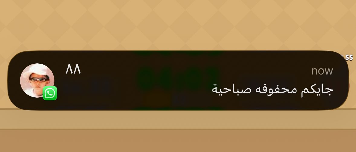 🤙🏻🤙🏻🤙🏻🤙🏻🤙🏻🤙🏻🤙🏻🤙🏻