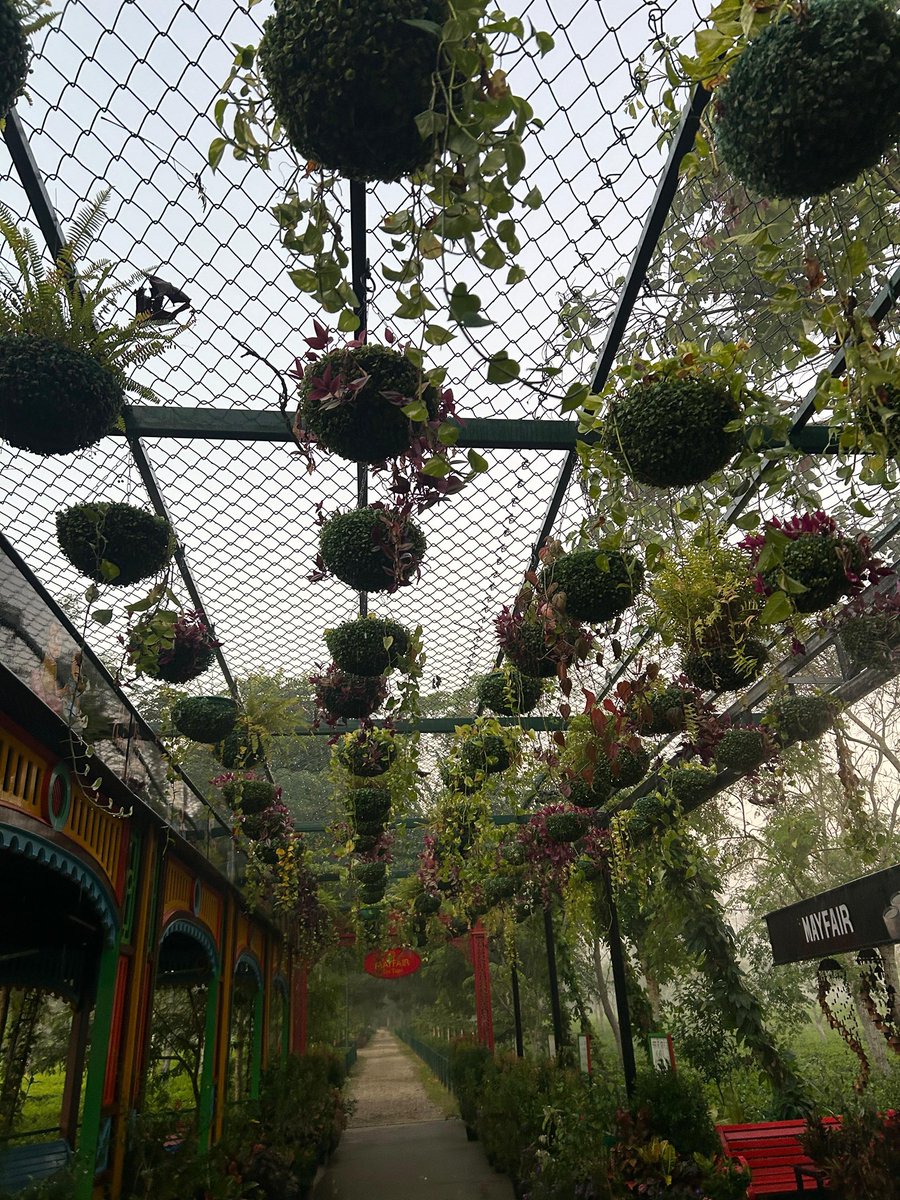 Good morning from West Bengal.