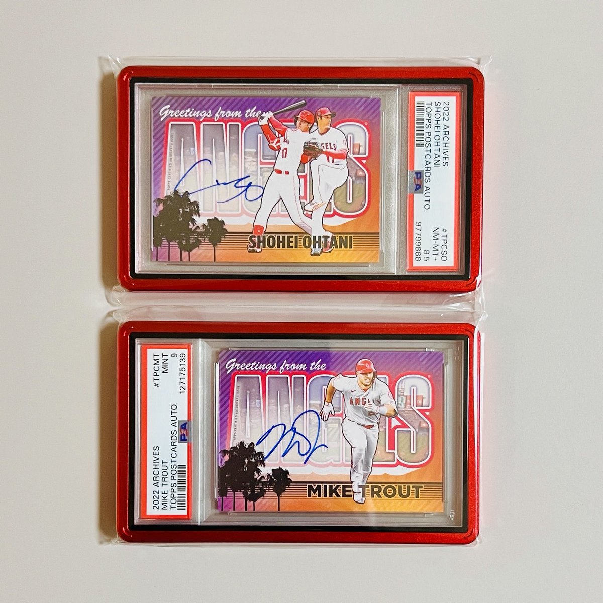 ドルジ (@dolgolsuren) / Posts / X