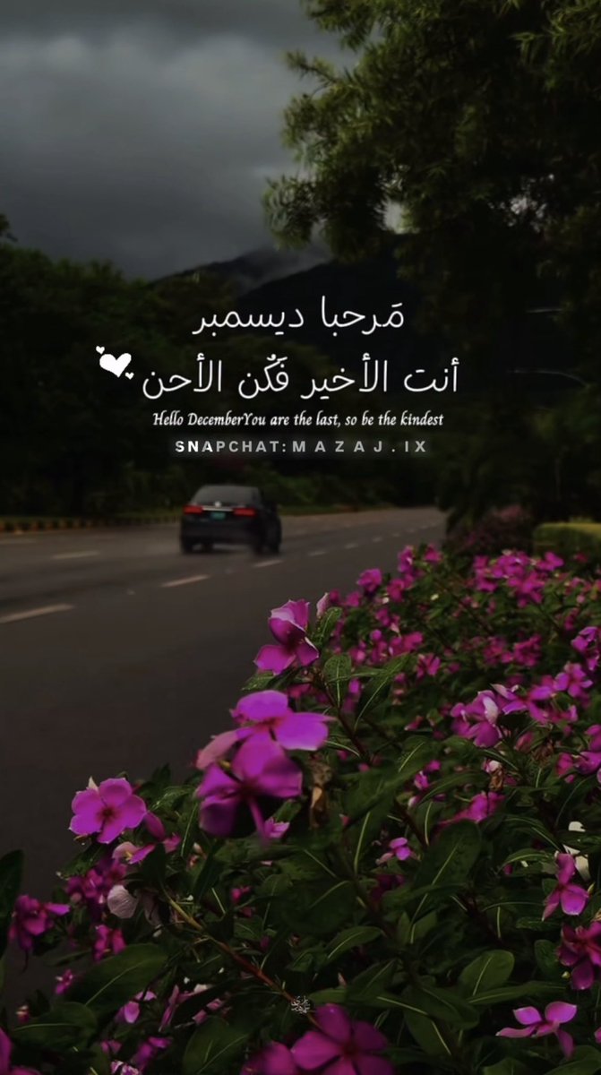 🦋أُمنية تبقى حلماً🦋 tweet media