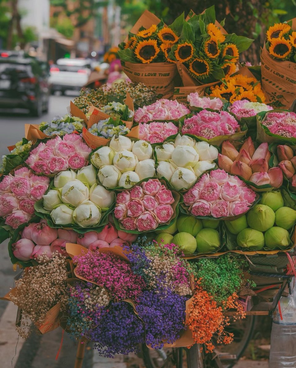 BCN1yqO6LA8908's tweet image. Web3 让资产自由流动，
RSS3 让信息自由流动。
两者缺一不可。
#RSS3 #Web3 #OpenWeb