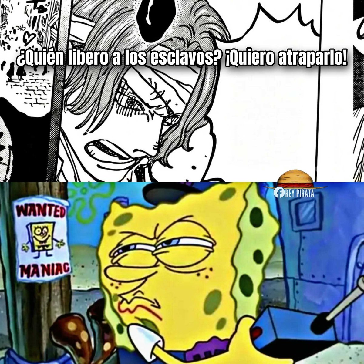 Literal. 
#ONEPIECE1167
