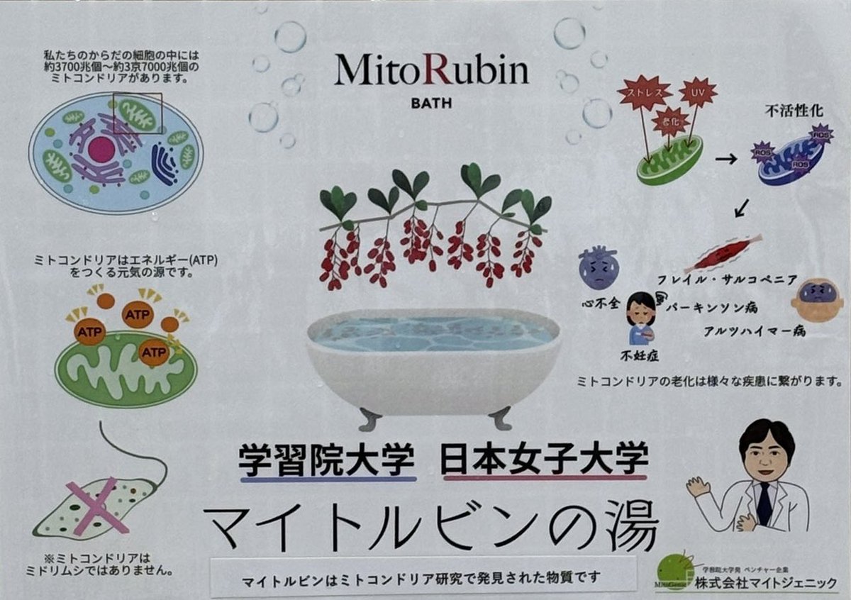 本日・明日の高濃度炭酸泉の薬湯は「マイルドルビンの湯」です♨️