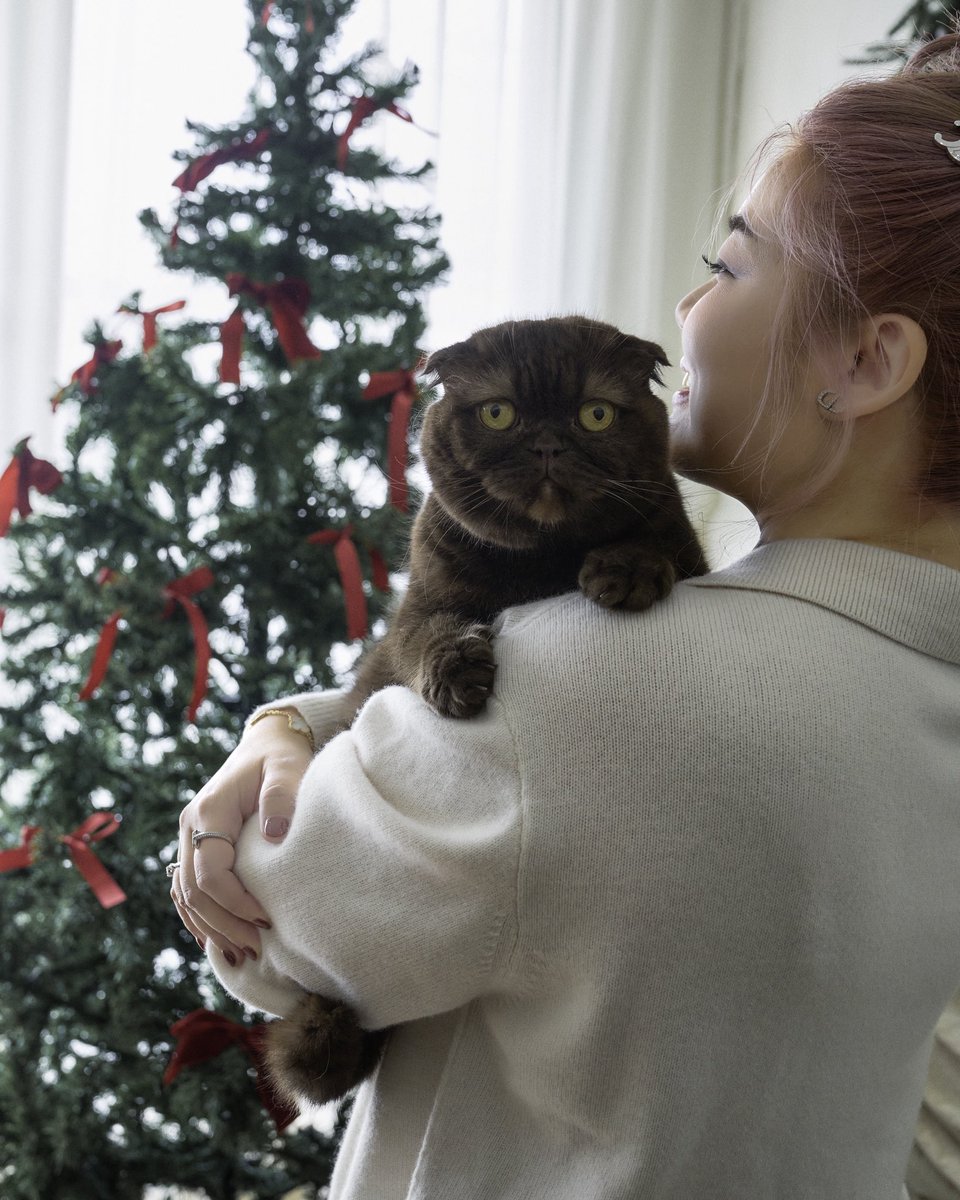 NieandIvancake's tweet image. Holiday moments with the ones we love.
Warm lights, soft paws, and December magic. 🎄💛

🎄at Central Eastville 
🎄1-10 December 2025

Visit Us:
• Siam Paragon
• EmQuartier
• Emporium
• The Mall Bangkae
• The Mall Thapra

Online Shop:
ค้นหา “Nie and Ivan”
• Line@ :