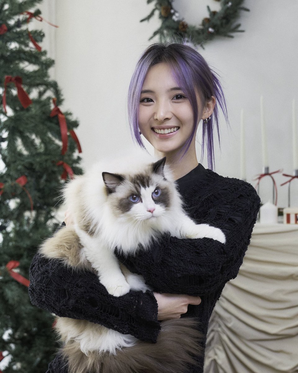 NieandIvancake's tweet image. Holiday moments with the ones we love.
Warm lights, soft paws, and December magic. 🎄💛

🎄at Central Eastville 
🎄1-10 December 2025

Visit Us:
• Siam Paragon
• EmQuartier
• Emporium
• The Mall Bangkae
• The Mall Thapra

Online Shop:
ค้นหา “Nie and Ivan”
• Line@ :