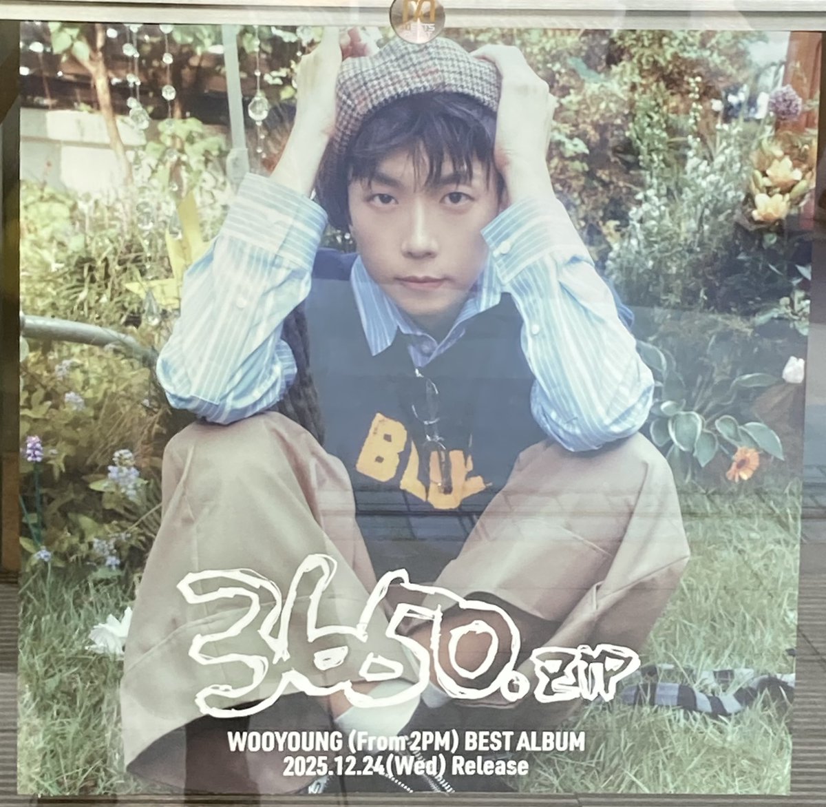 もっち (@mocchi2003) / Posts / X