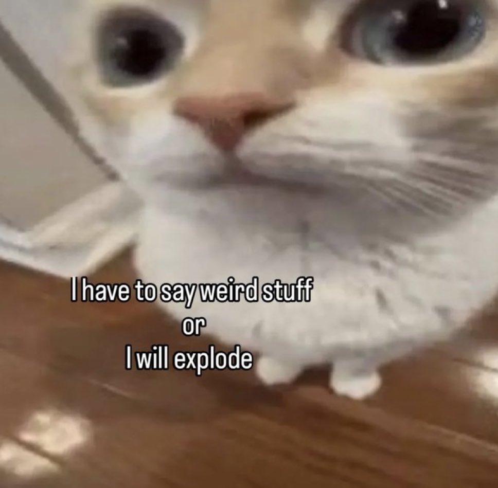 literallymecats's tweet image. 