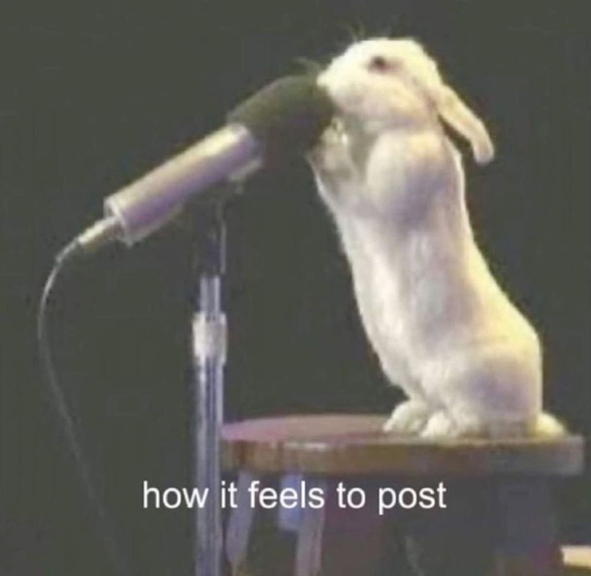 ♡ (@astralbaes) on Twitter photo 