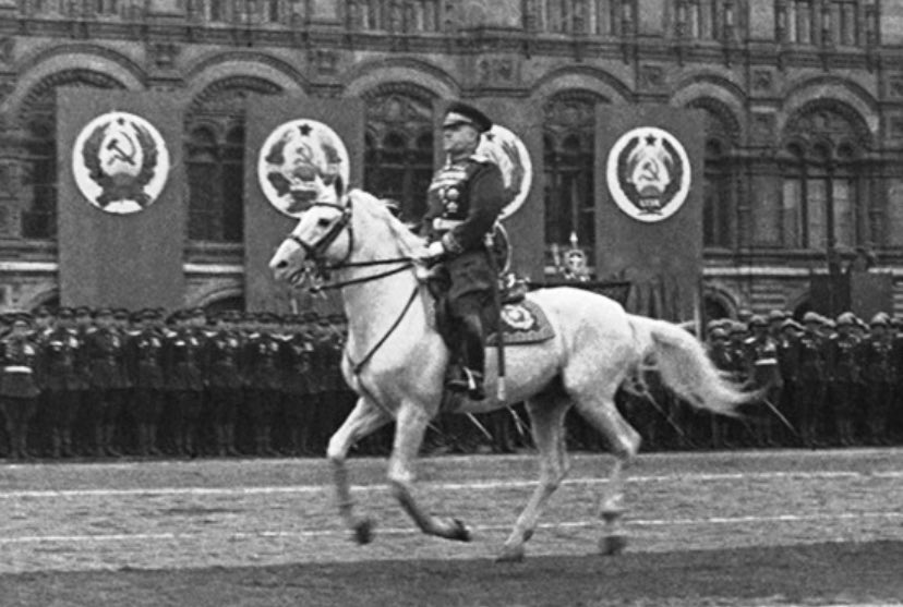 mariempalmer's tweet image. 