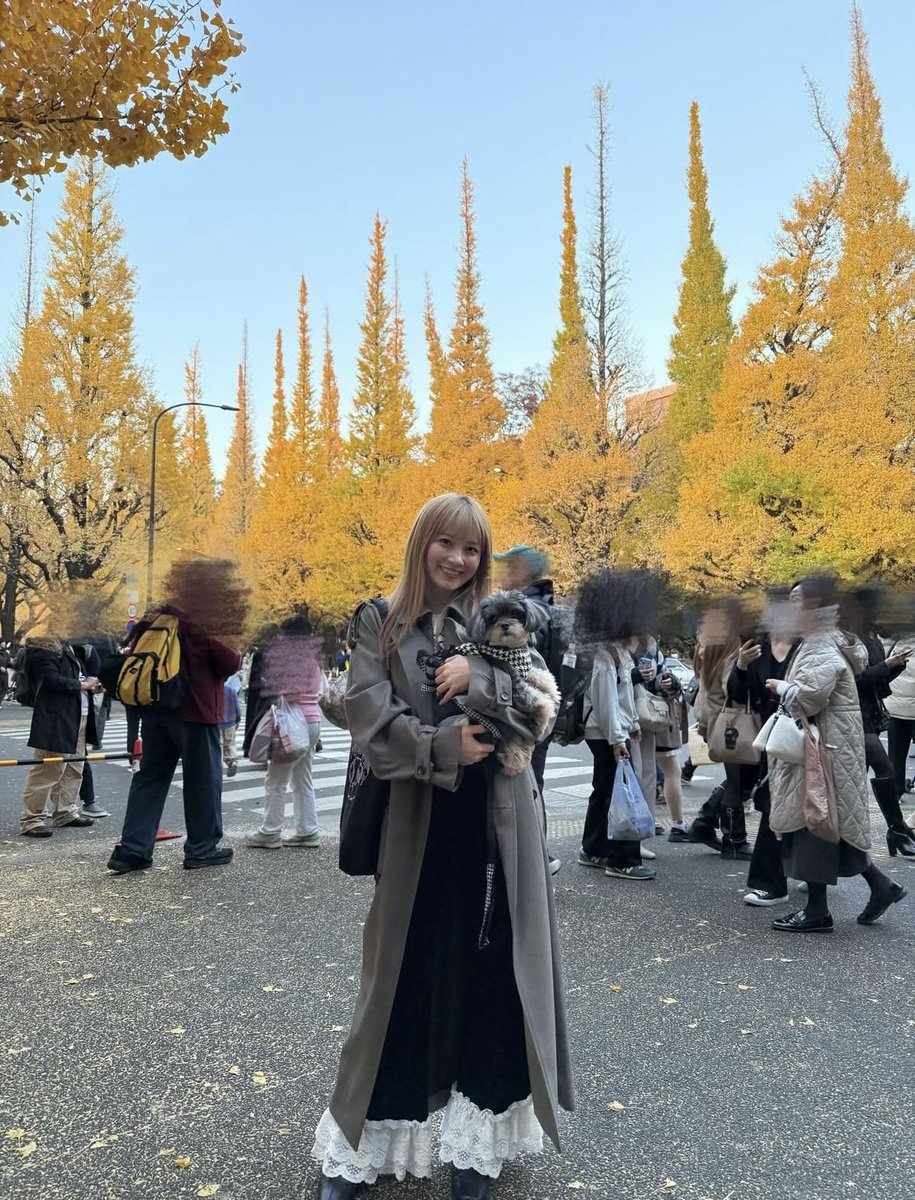 natsukirin0219's tweet image. 【森戸知沙希】ぽんちゃんと紅葉狩り・・・ plaza.rakuten.co.jp/natsukirin0810… #r_blog