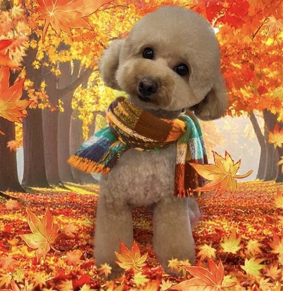 🍺さーちゃん❤️ (@saa_aachan_) / Posts / X