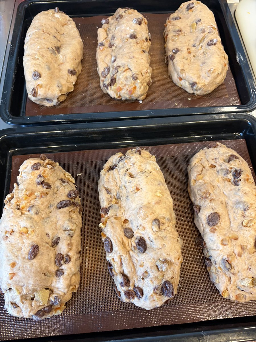 なぜ一般お嬢様が6本ものシュトレンを仕込むのか……？ 

その謎を解明すべく我々はアマゾンの奥地へ向かった…！