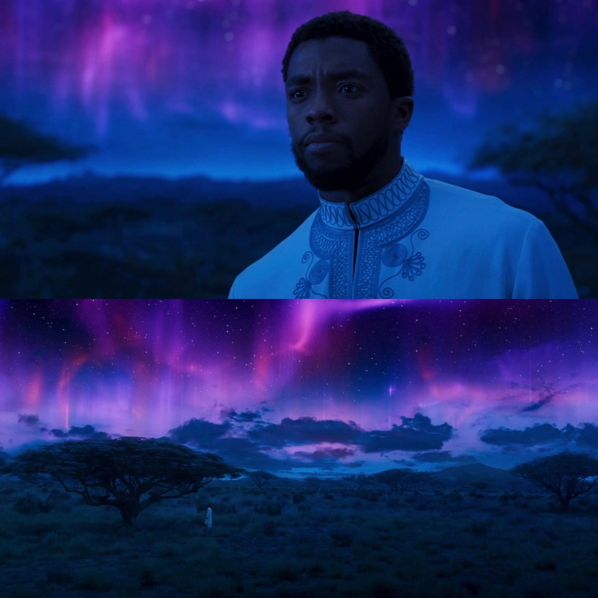 FilmUpdates's tweet image. Remembering Chadwick Boseman on his birthday. 🕊️