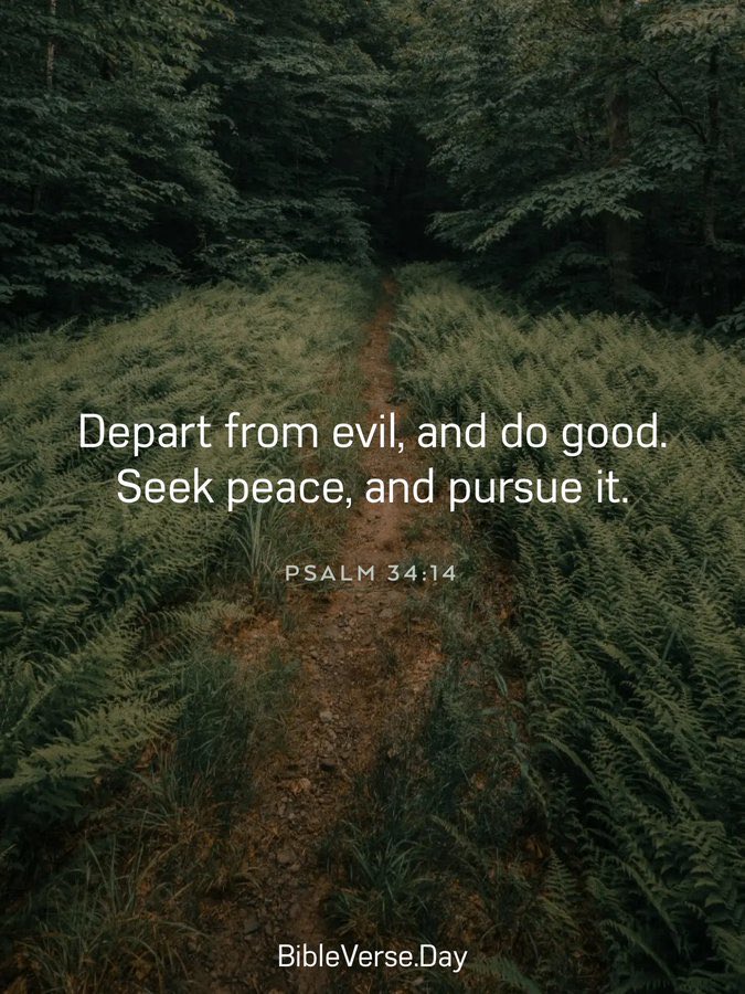 KellyMkyh's tweet image. 