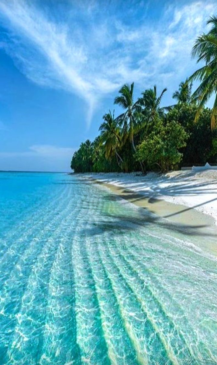 Kon_tessa's tweet image. #AlphabetChallenge
#WeekVforVowels 
Where the sea is glass and the world is painted in endless shades of blue and green🌊  Island 🌴🌴🌴