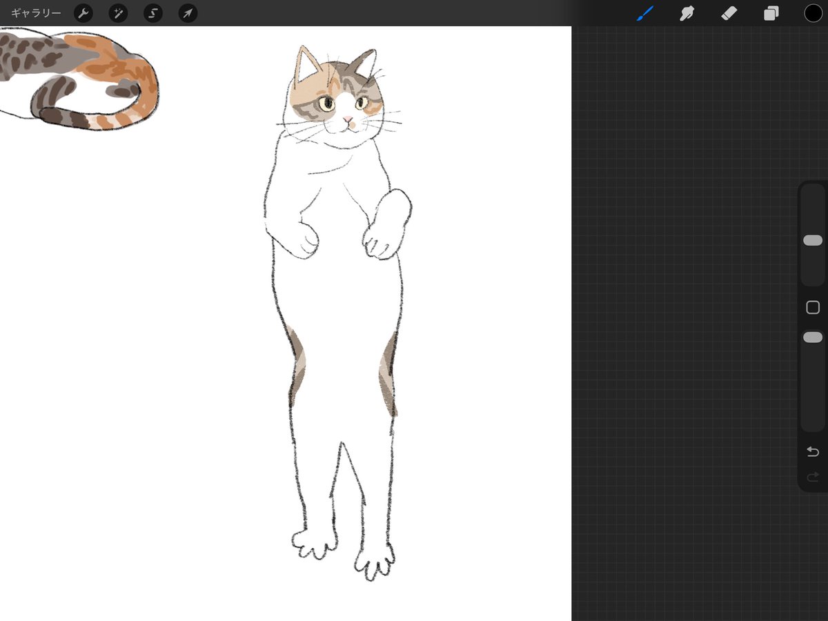 ラッキーねこ 