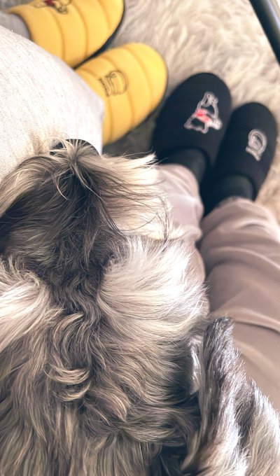 プーさんおそろ♡🍯 