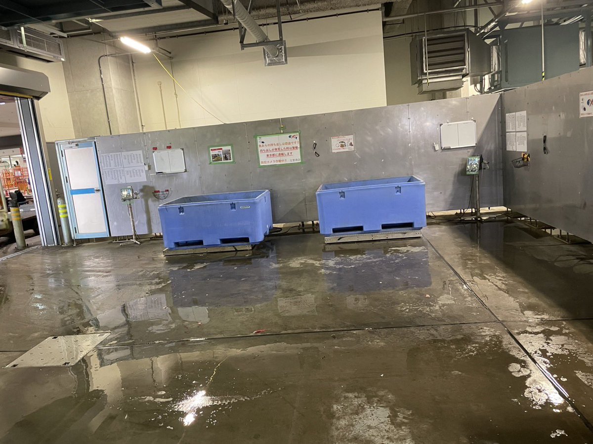 realmad_penis's tweet image. 【閲覧注意】食事中の方は絶対にお控えください。話題沸騰中の勝ちどき楽笑の店主が豊洲市場から魚のアラ30キロ（210円相当）を盗んで逮捕された事件。本来は1キロ7円で販売している魚の餌です。
被害にあった集積所の本日の衝撃映像をお届けします。