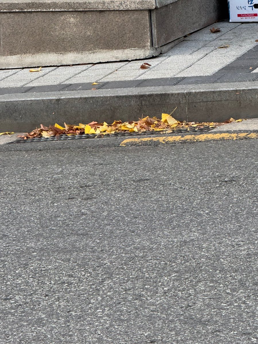 [💬]

서로 따뜻하게 뭉쳐있네!!!
글쓴이 엠복귀

#엠제이 #MJ