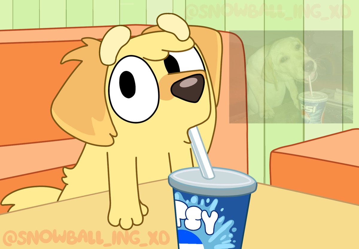 Chucky enjoying some soda💛
#bluey #blueyfanart #blueyart