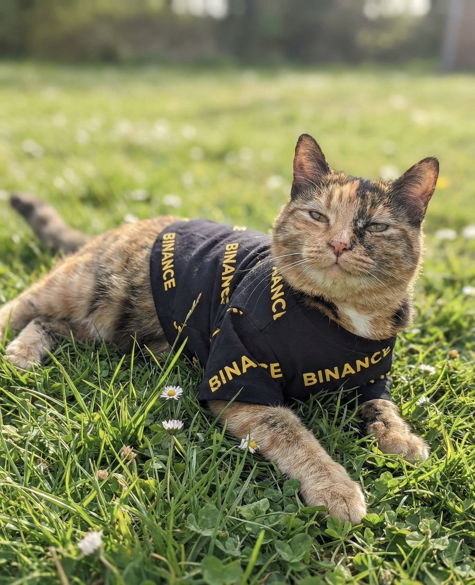 Happy Saturday fam!

Touching some grass while waiting for IBW… 🌿