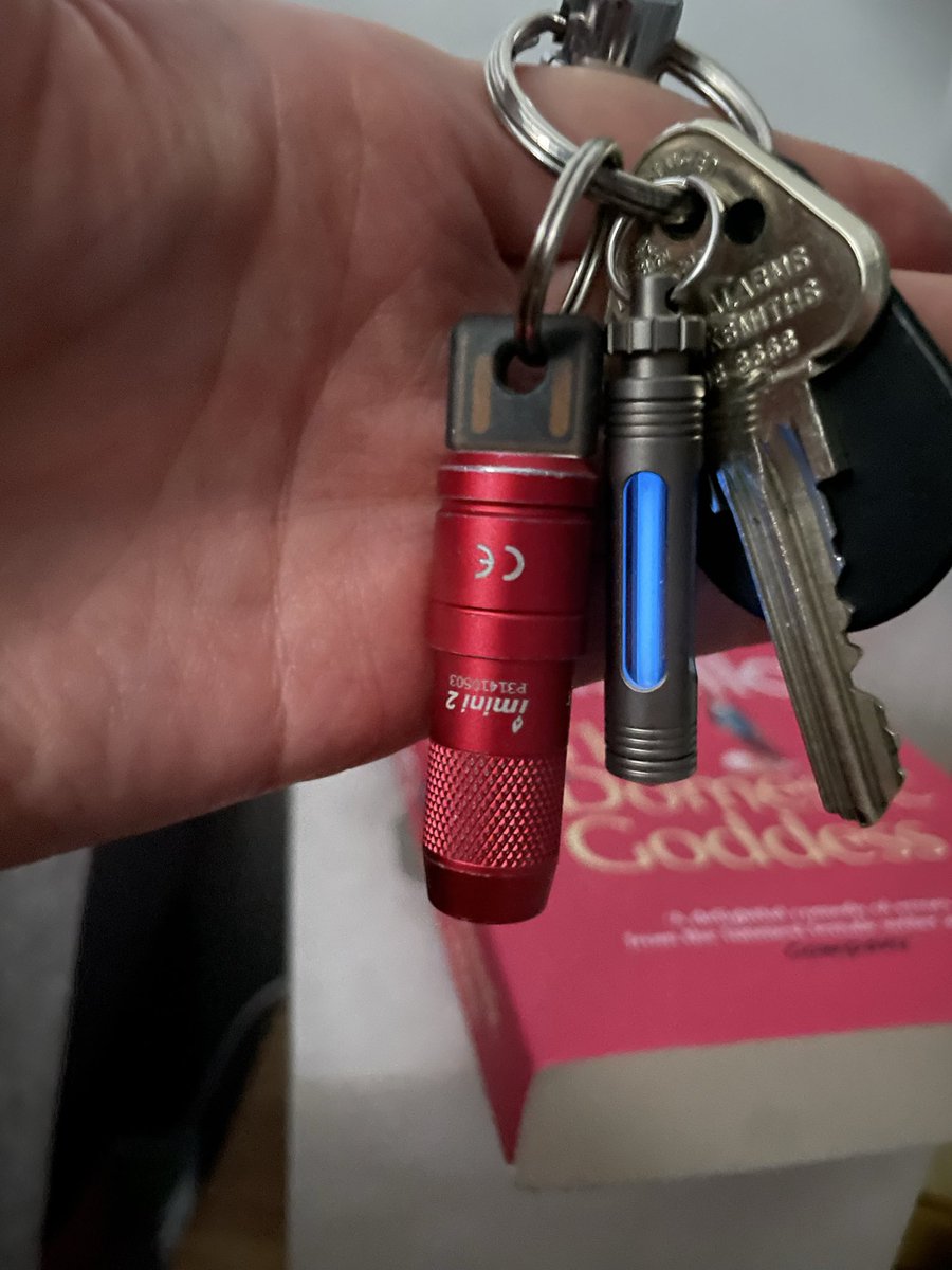 MissIgraine's tweet image. Obsessed. 

Both images taken at the same time of day (consecutive), using different settings. 

From memory the first is the automatic dark/low light setting on iPhones. And the second is no special setting in low light. 

#tritium #radioactive #edc