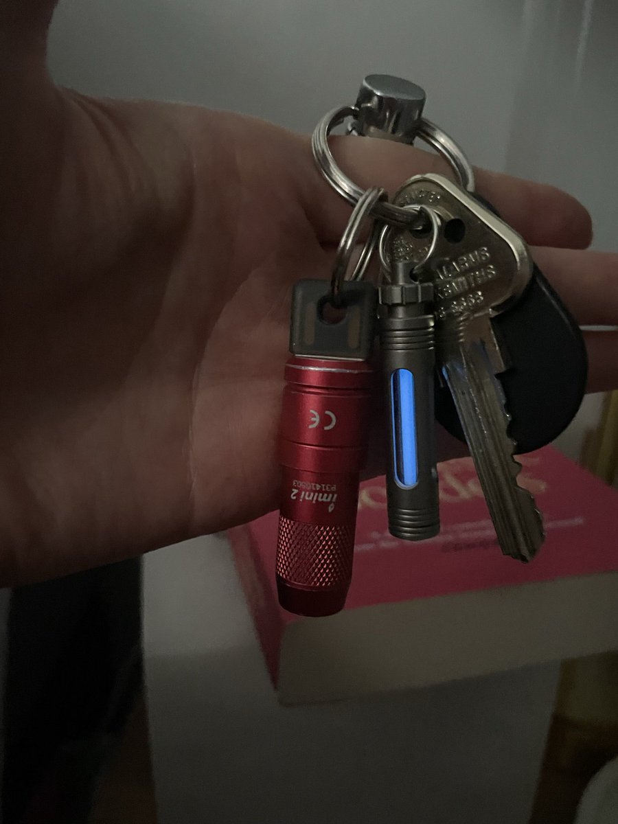 MissIgraine's tweet image. Obsessed. 

Both images taken at the same time of day (consecutive), using different settings. 

From memory the first is the automatic dark/low light setting on iPhones. And the second is no special setting in low light. 

#tritium #radioactive #edc