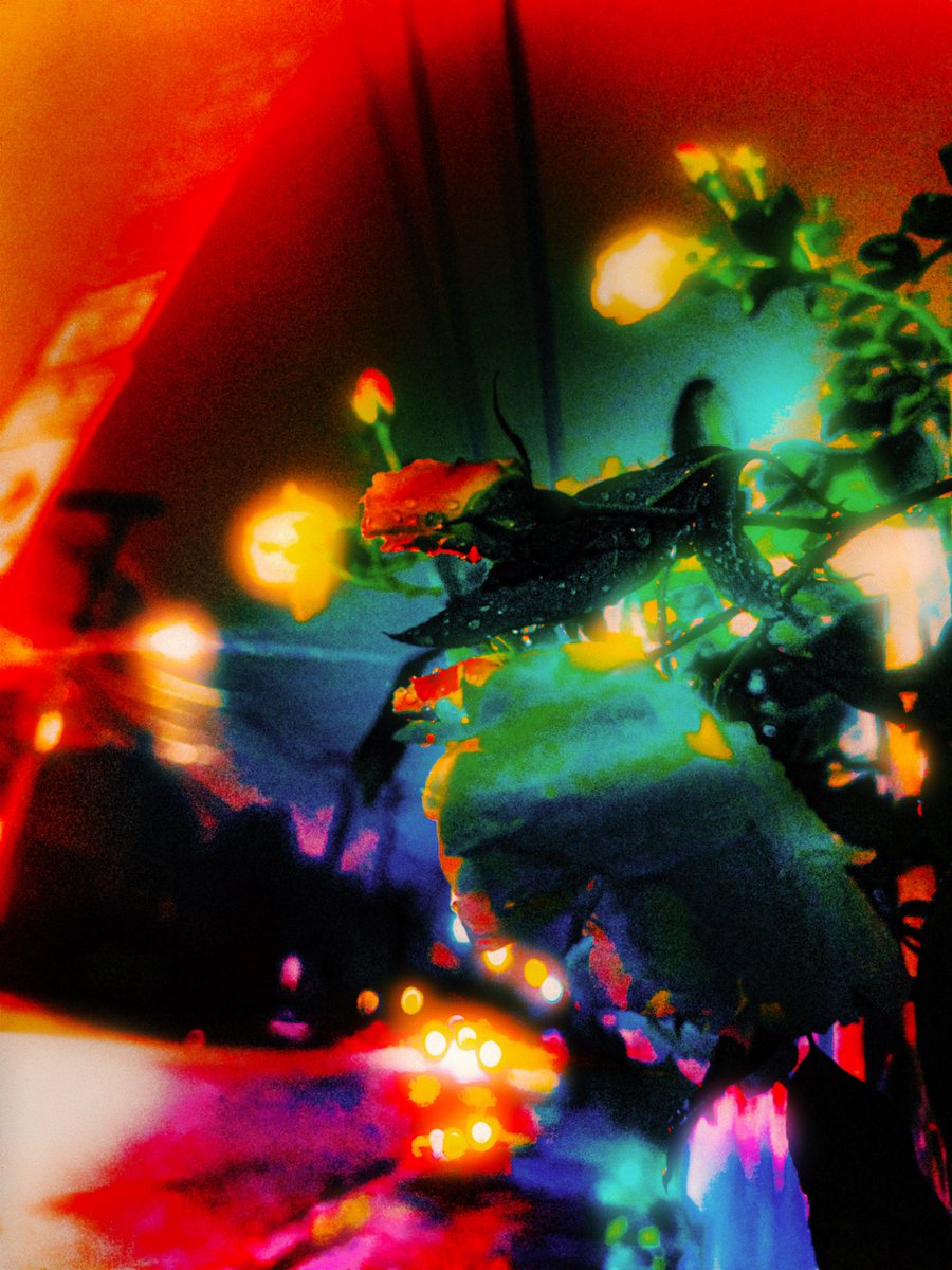 Photo taken with iphone on adobe project b indigo and edited with RGB curve bending/masking in lightroom then halation and bloom in VSCO