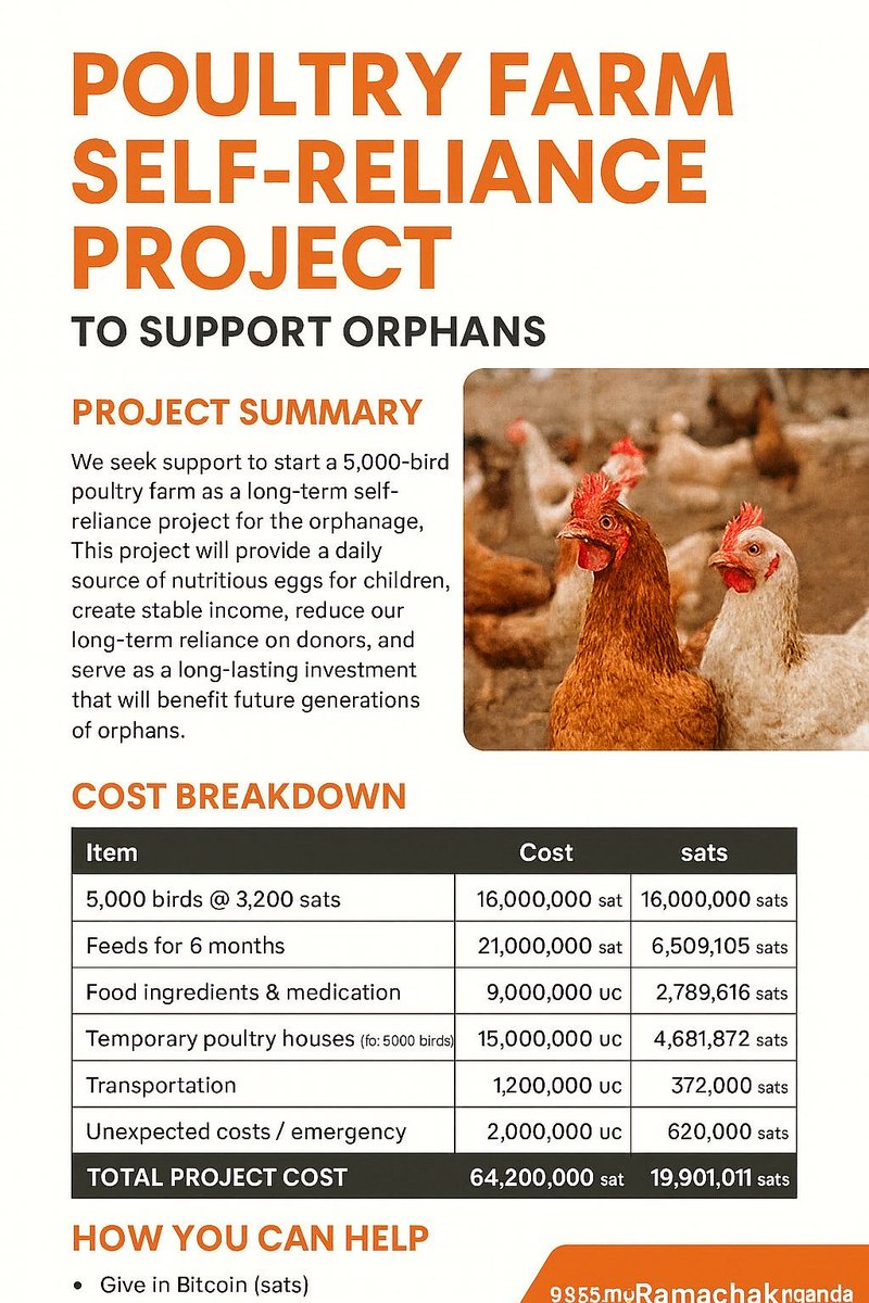 orphansofuganda's tweet photo. Update:
The idea now is to become fully self-reliant through poultry production. This project will help us generate steady income to support our children and reduce daily dependence on outside help.
#SelfReliance #PoultryProject #OrphansOfUganda #HopeForChildren #SustainableFuture #BitcoinForGood #CommunitySupport #BuildingForGenerations